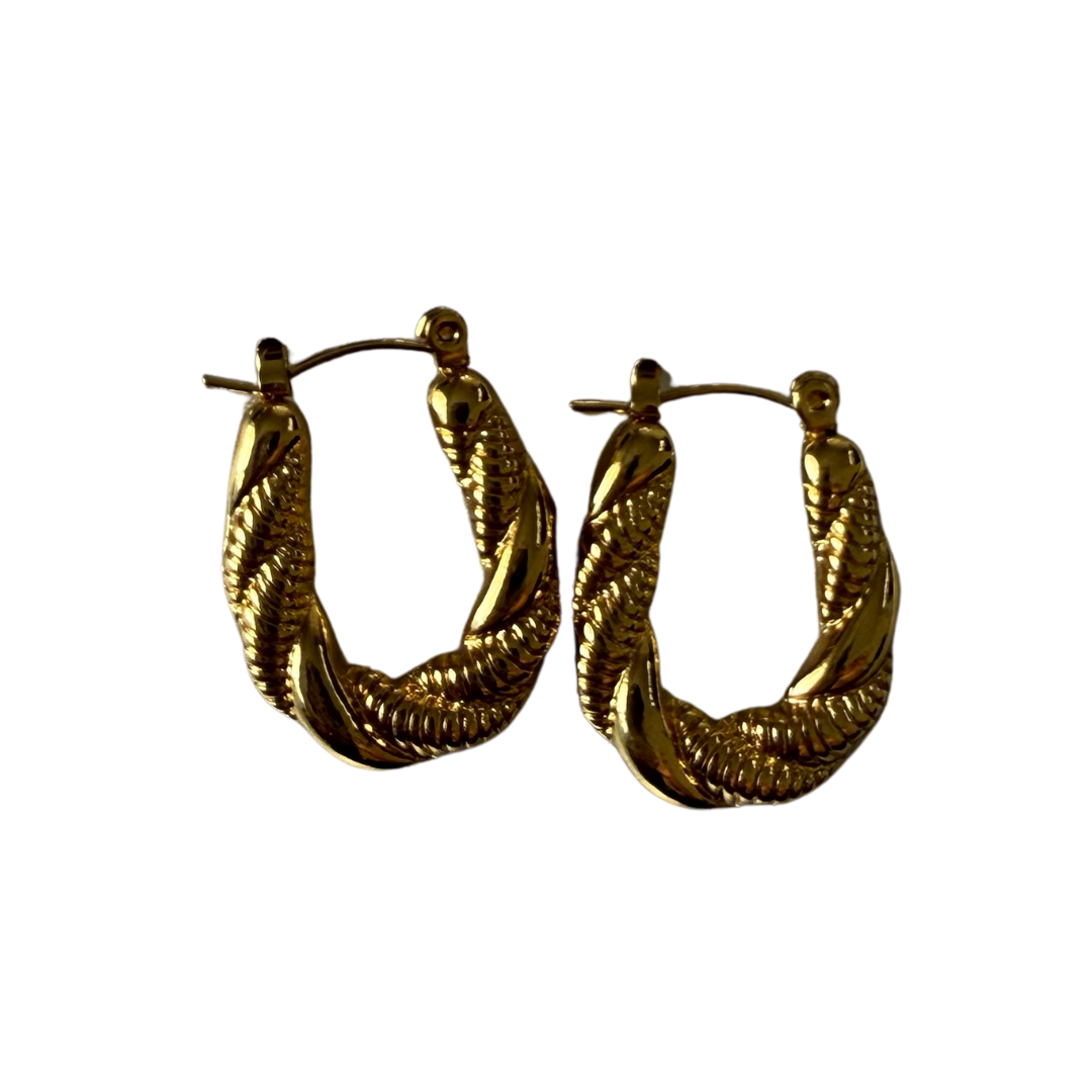 Aretes Trenza Dorada